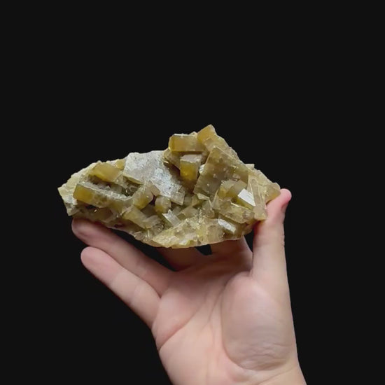 Specimen rotation video 0402