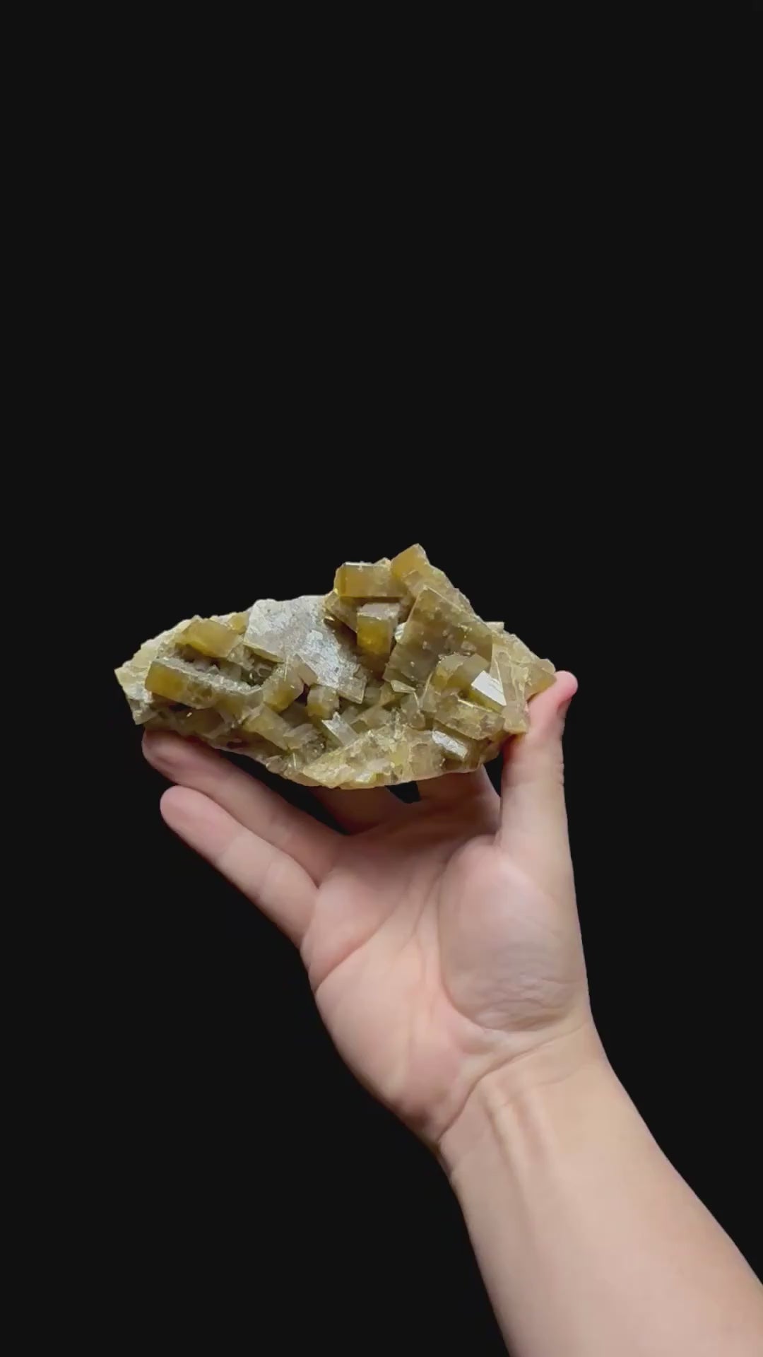 Specimen rotation video 0402