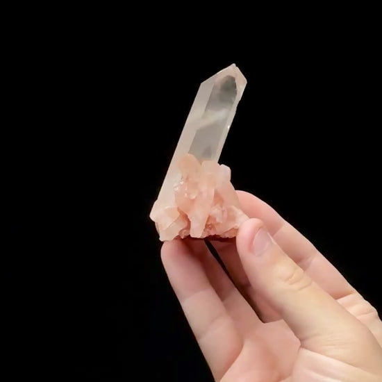 Specimen rotation video 0620