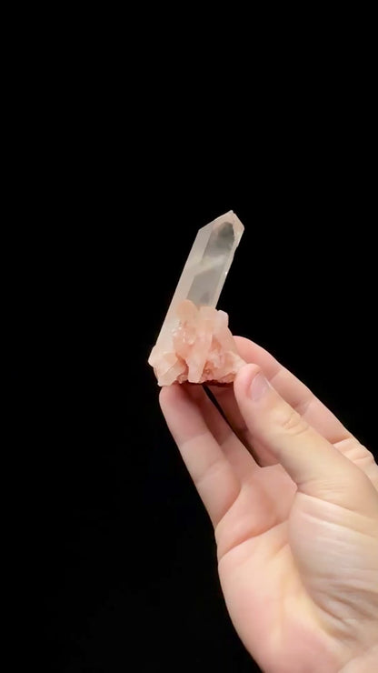 Specimen rotation video 0620