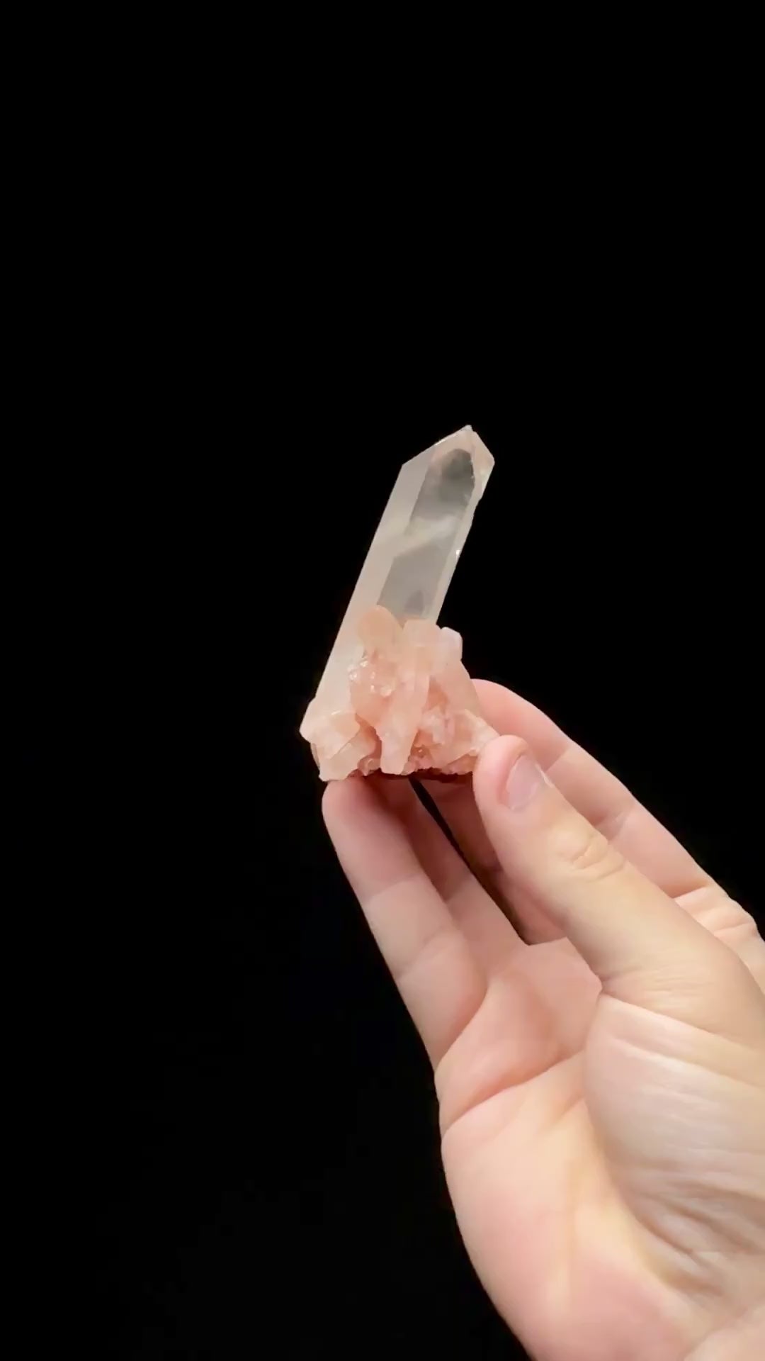 Specimen rotation video 0620