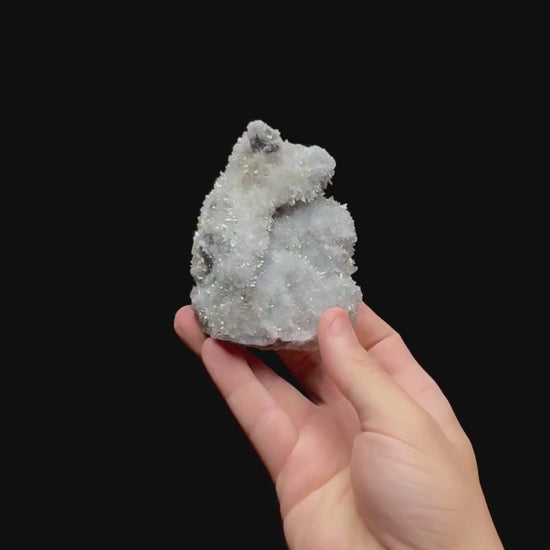 Specimen rotation video 0469