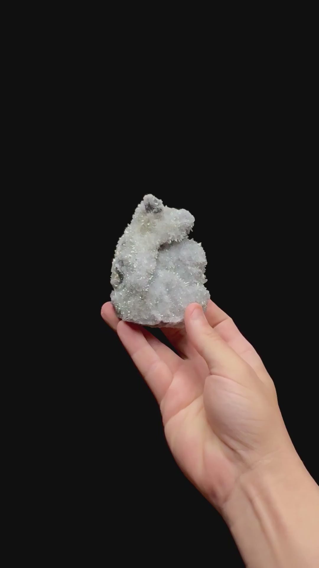 Specimen rotation video 0469