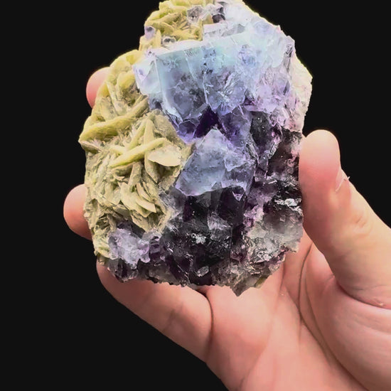 Specimen rotation video 490