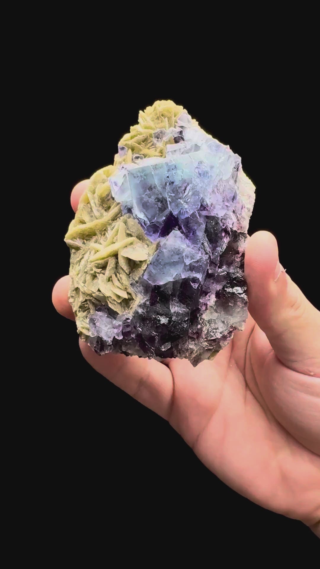 Specimen rotation video 490
