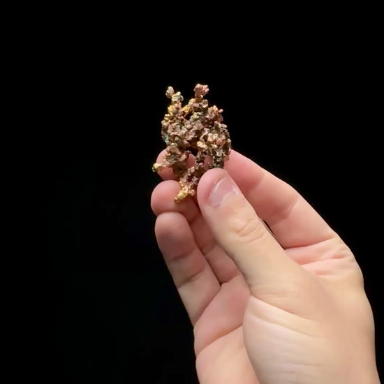 Specimen rotation video 0602