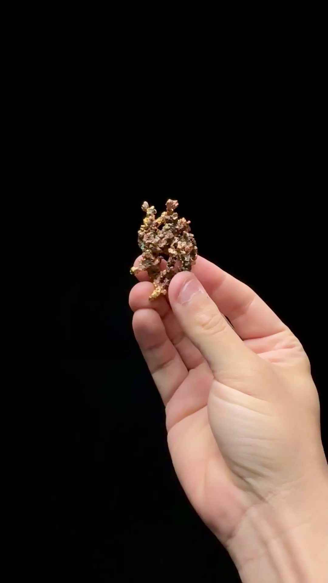 Specimen rotation video 0602