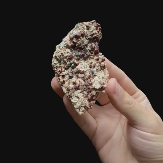 Specimen rotation video 0711