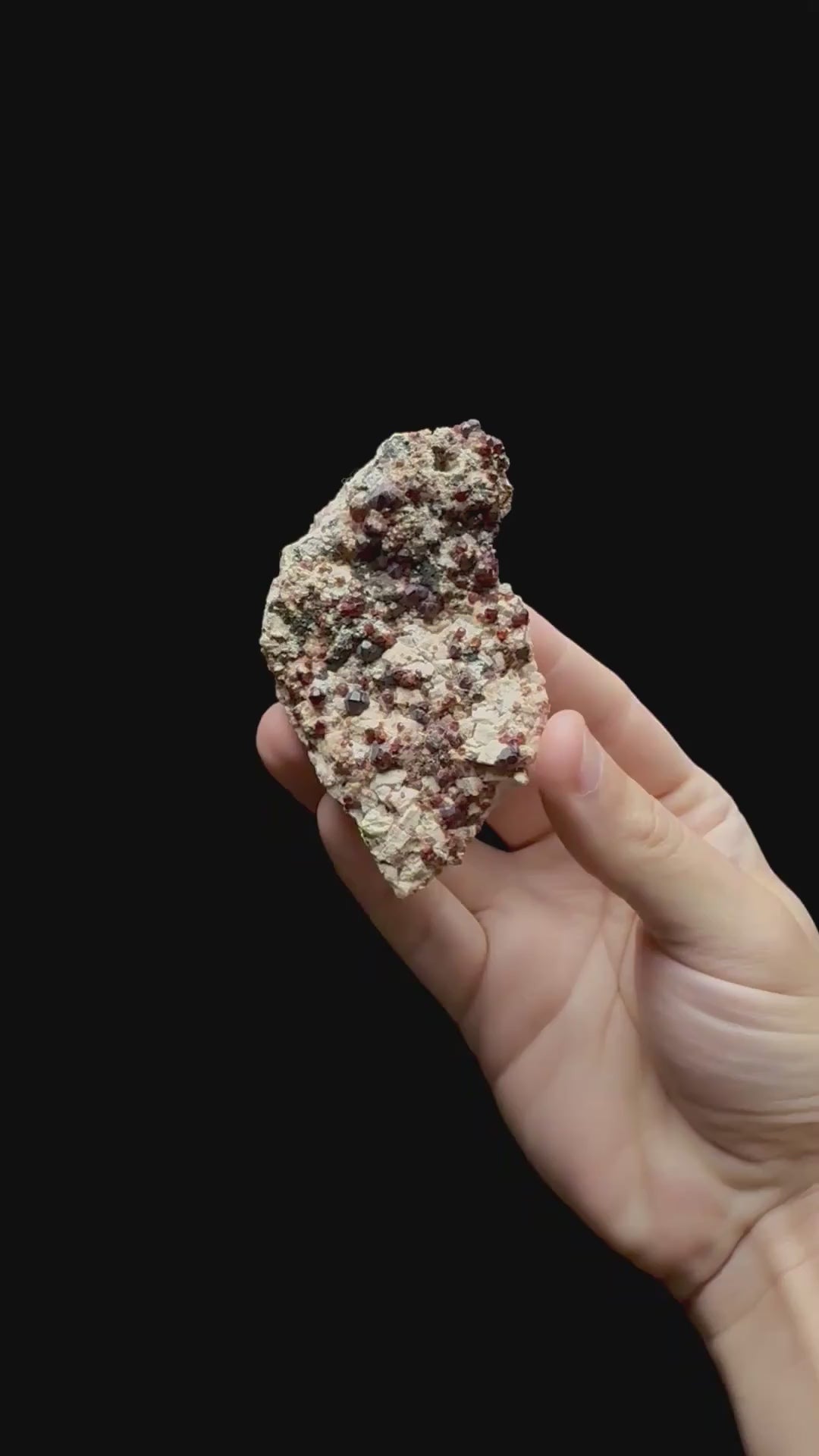 Specimen rotation video 0711