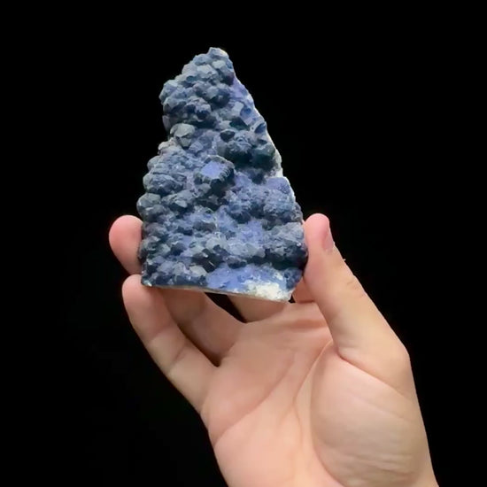 Specimen rotation video 0593
