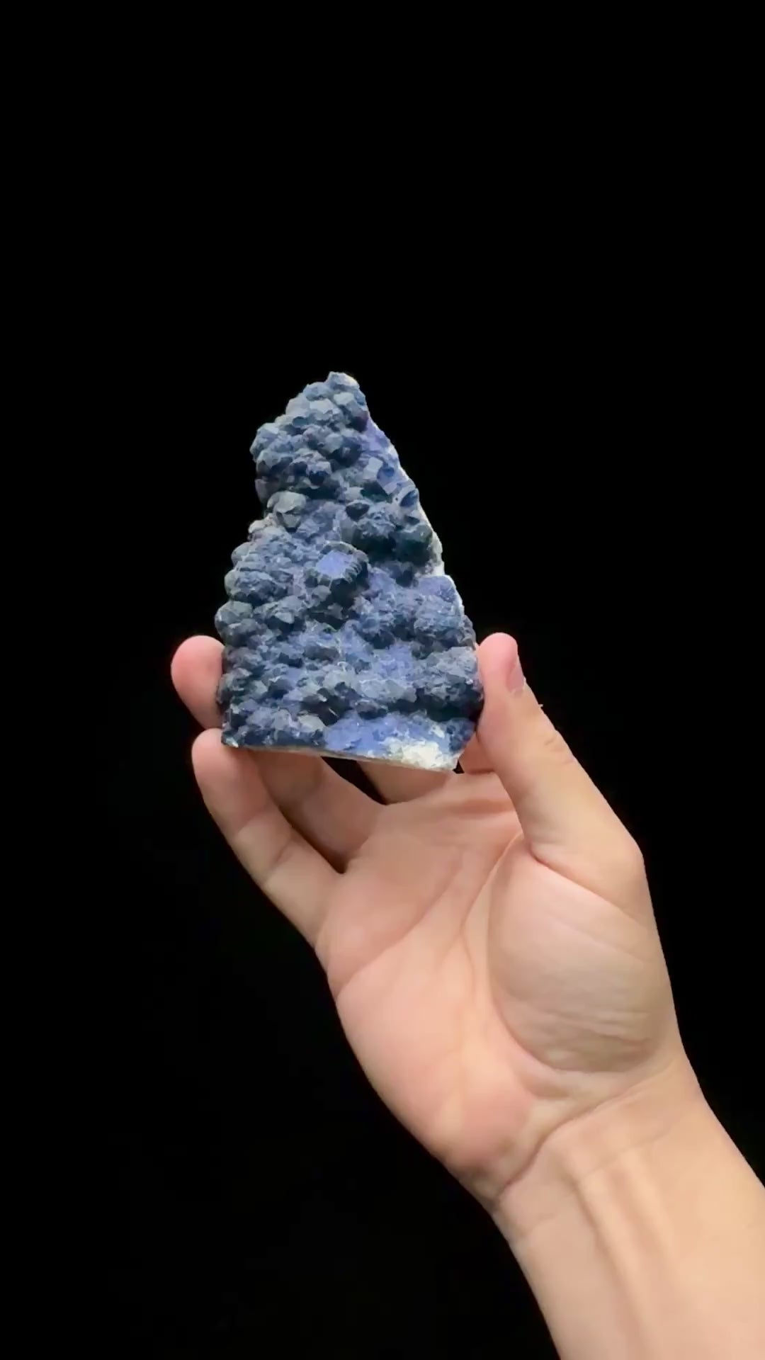 Specimen rotation video 0593