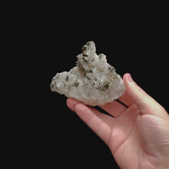 Specimen rotation video 0379