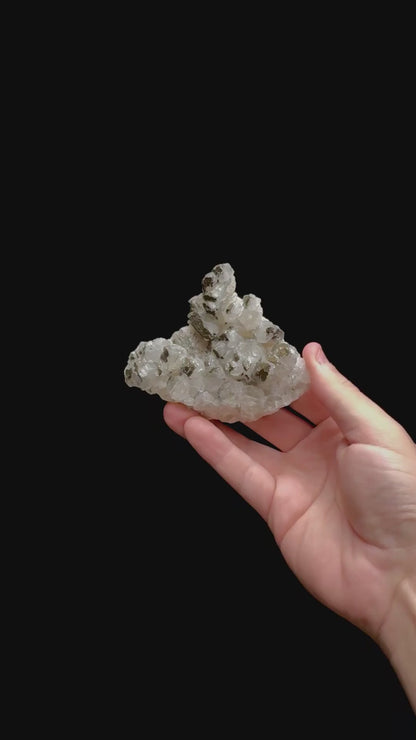 Specimen rotation video 0379