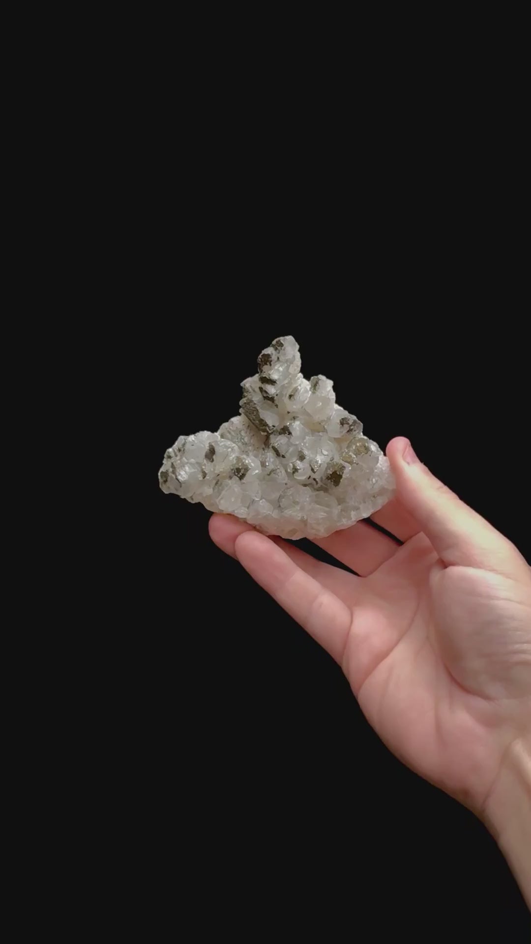 Specimen rotation video 0379