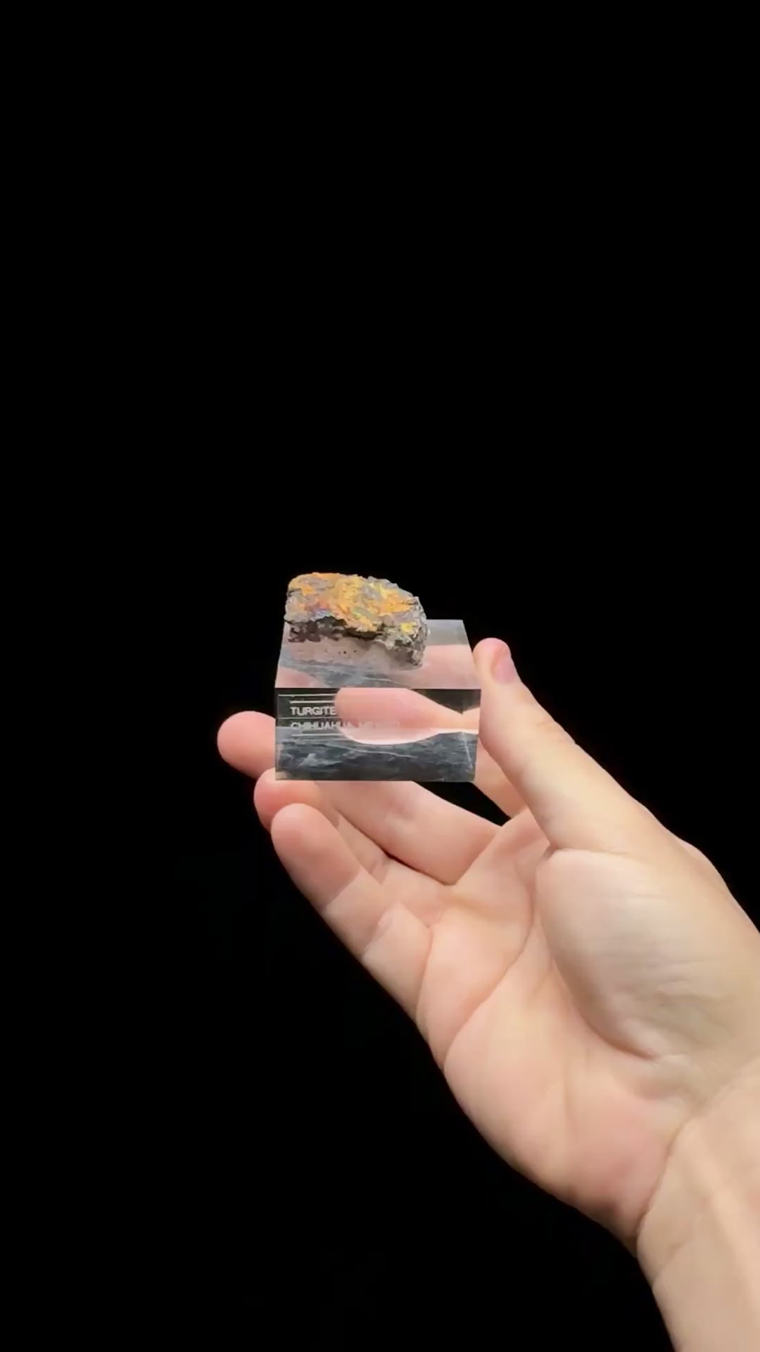 Specimen rotation video 0571