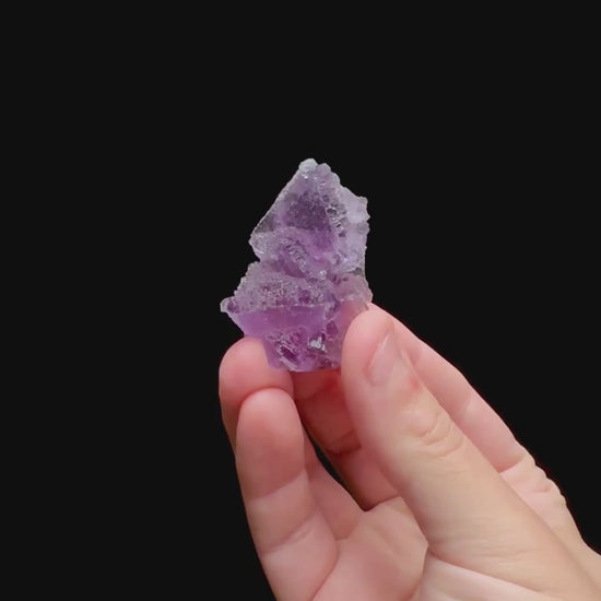 Specimen rotation video 0386