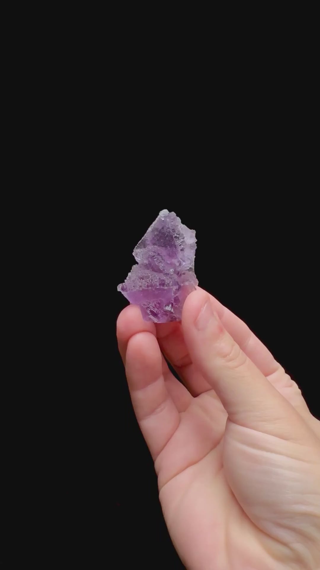 Specimen rotation video 0386