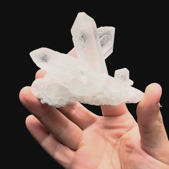 Specimen rotation video 578