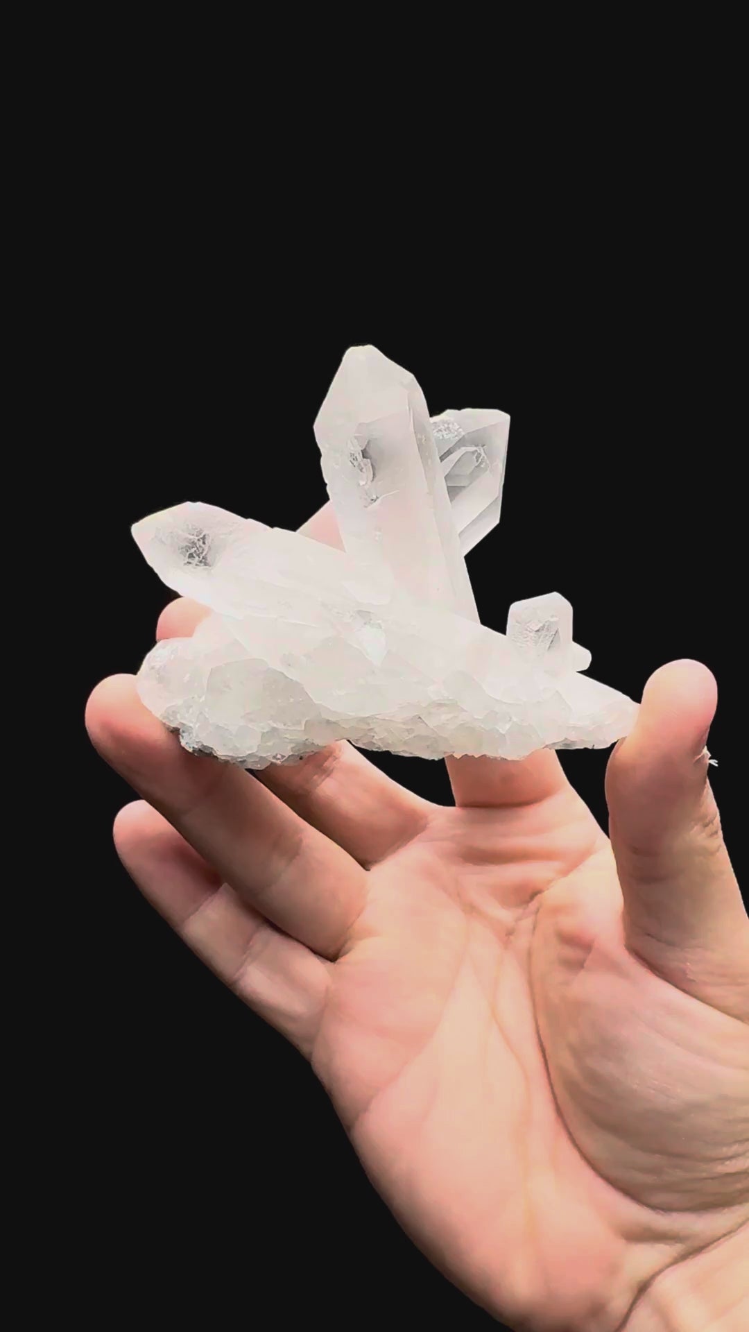 Specimen rotation video 578