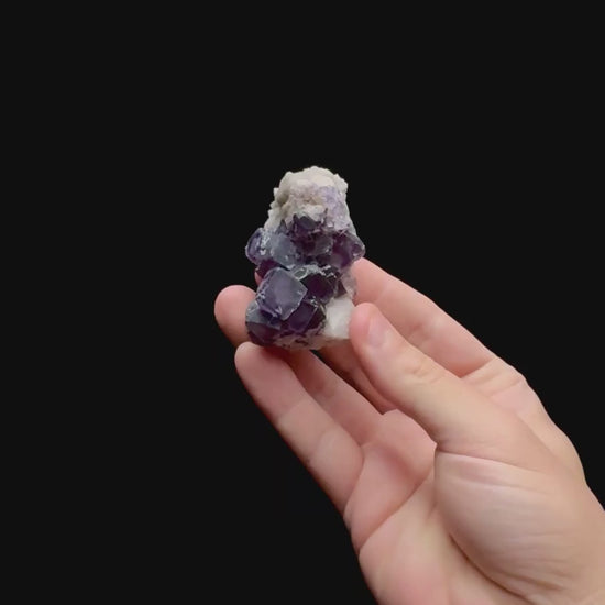 Specimen rotation video 0458