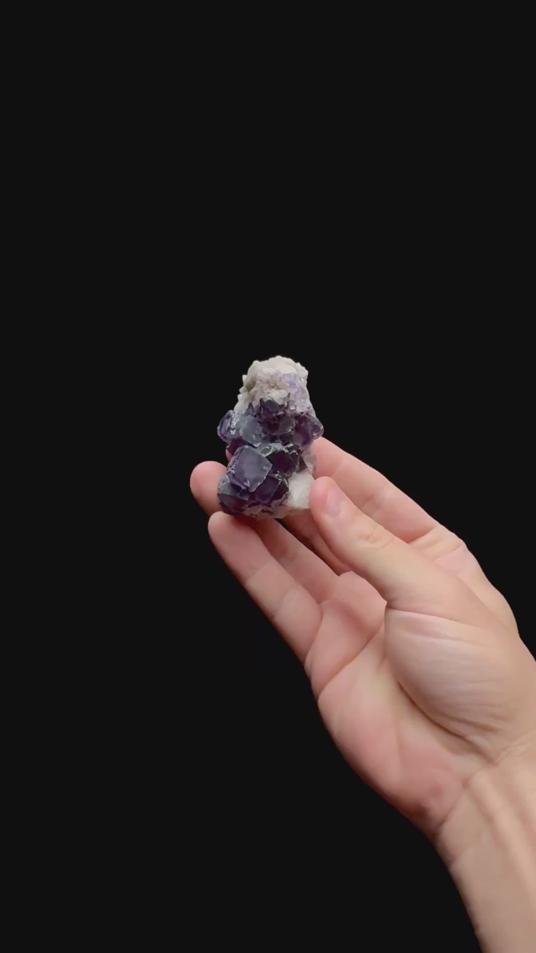 Specimen rotation video 0458