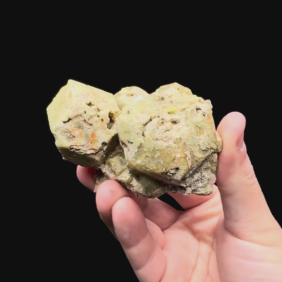 Specimen rotation video 011