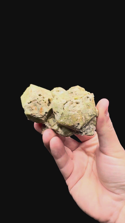 Specimen rotation video 011