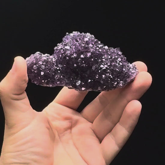 Specimen rotation video 093