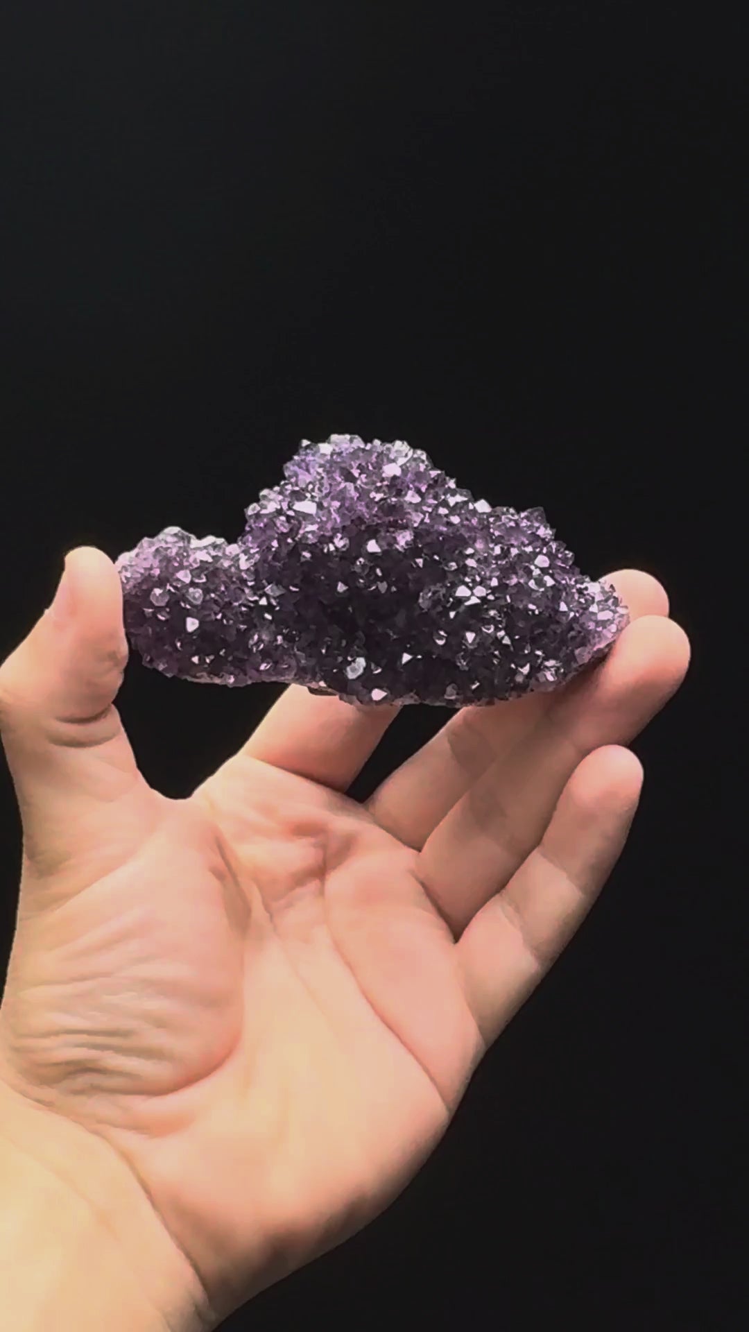 Specimen rotation video 093