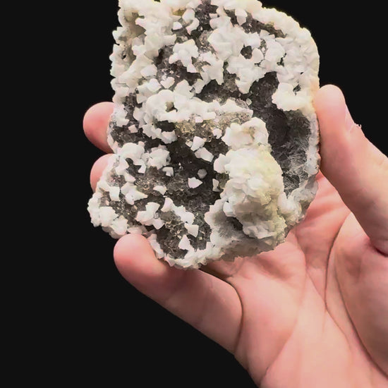 Specimen rotation video 500
