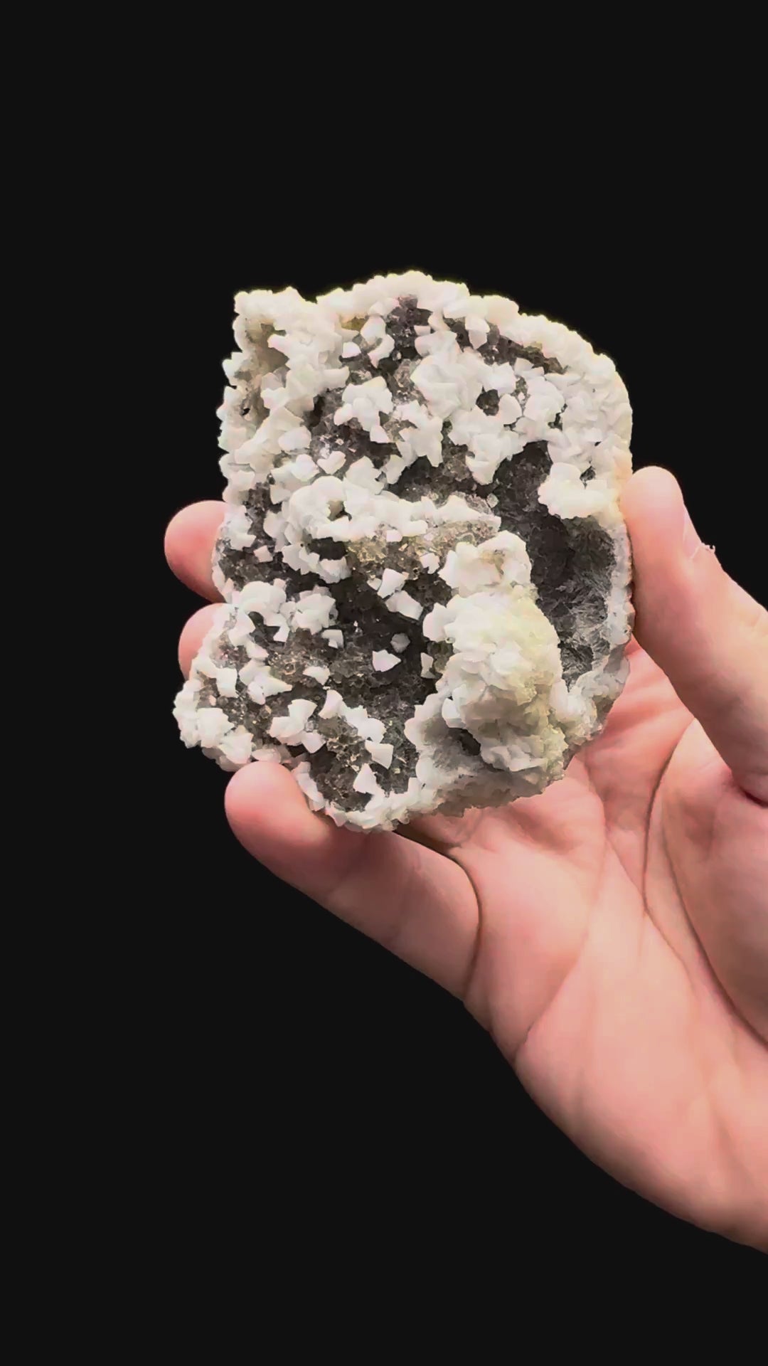 Specimen rotation video 500