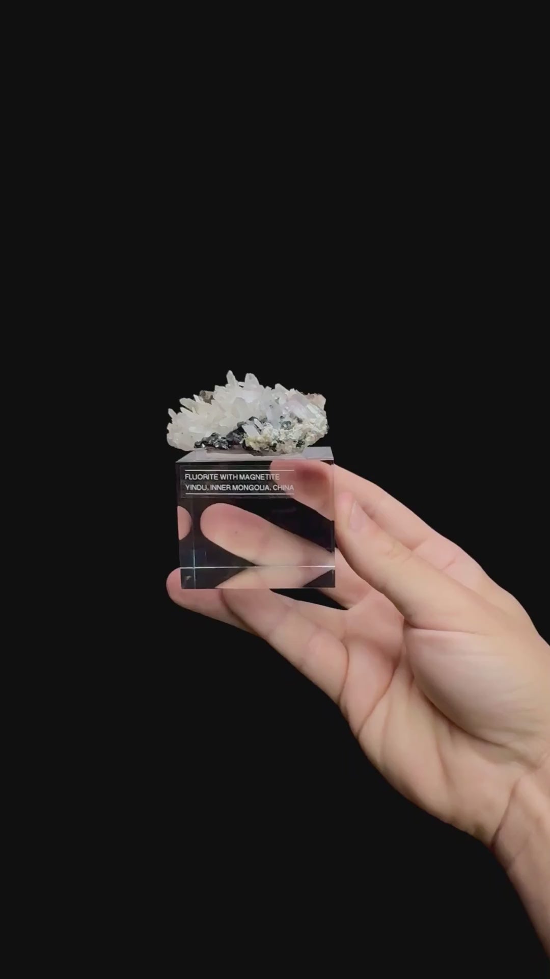 Specimen rotation video 0511