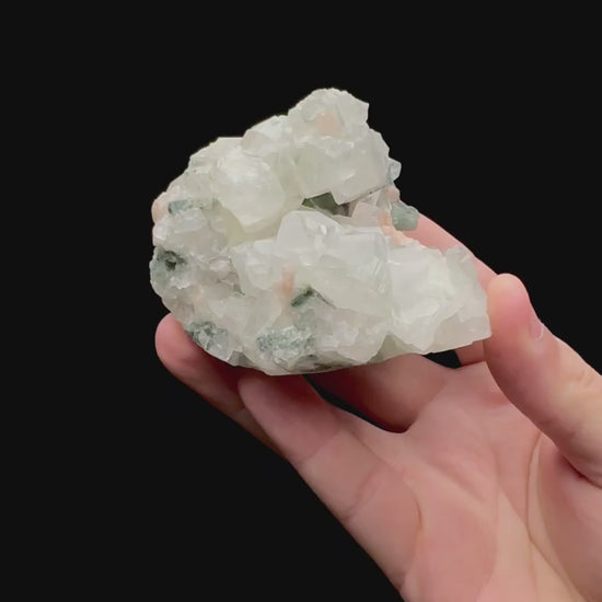 Specimen rotation video 178