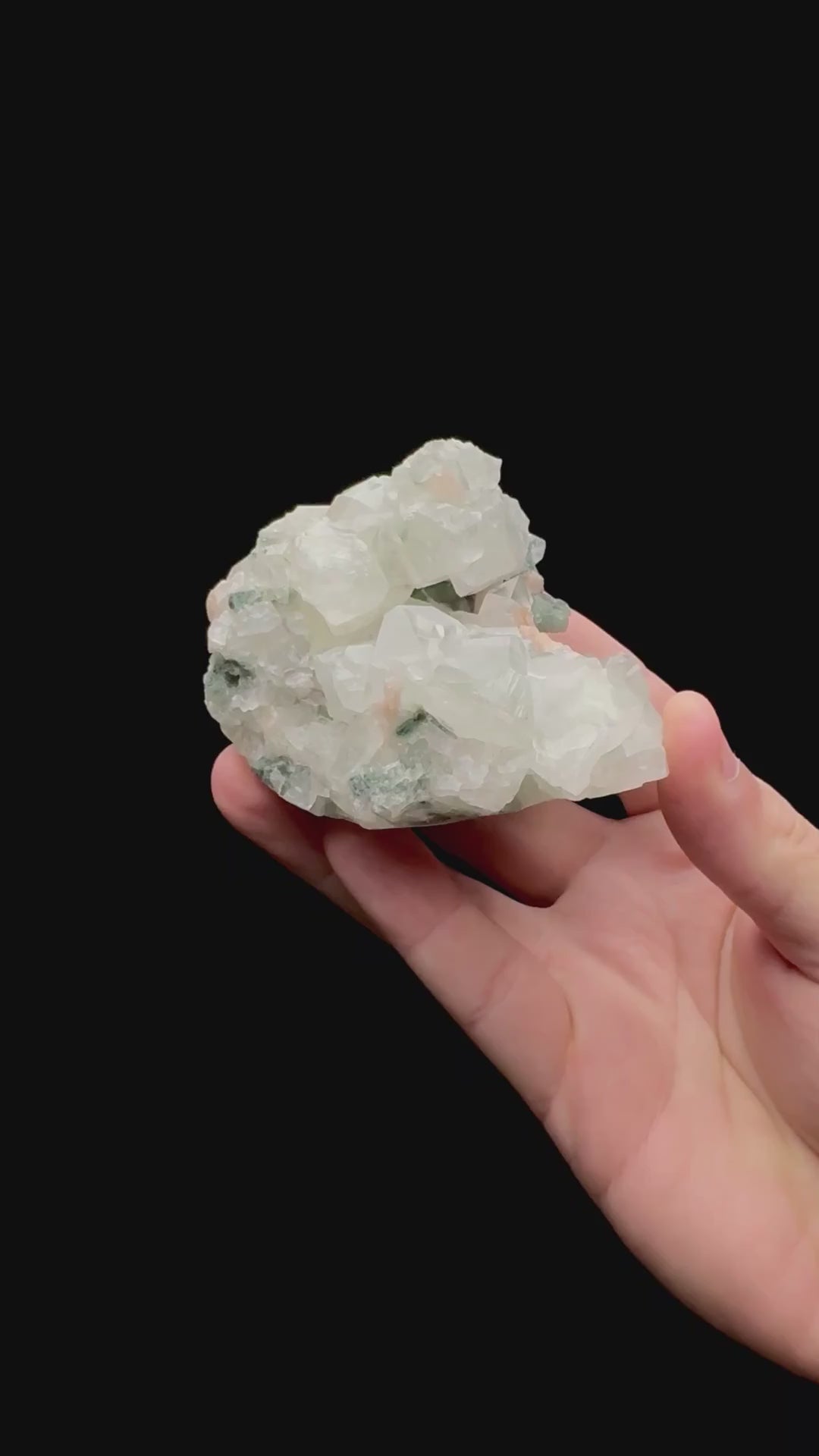 Specimen rotation video 178