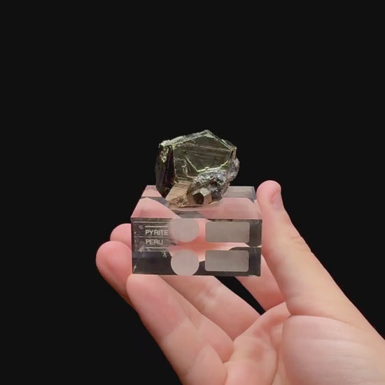 Specimen rotation video 0321