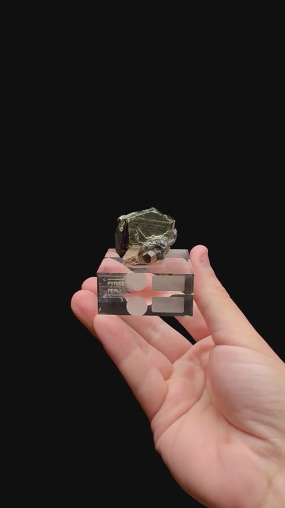 Specimen rotation video 0321