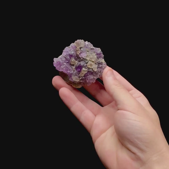 Specimen rotation video 0474
