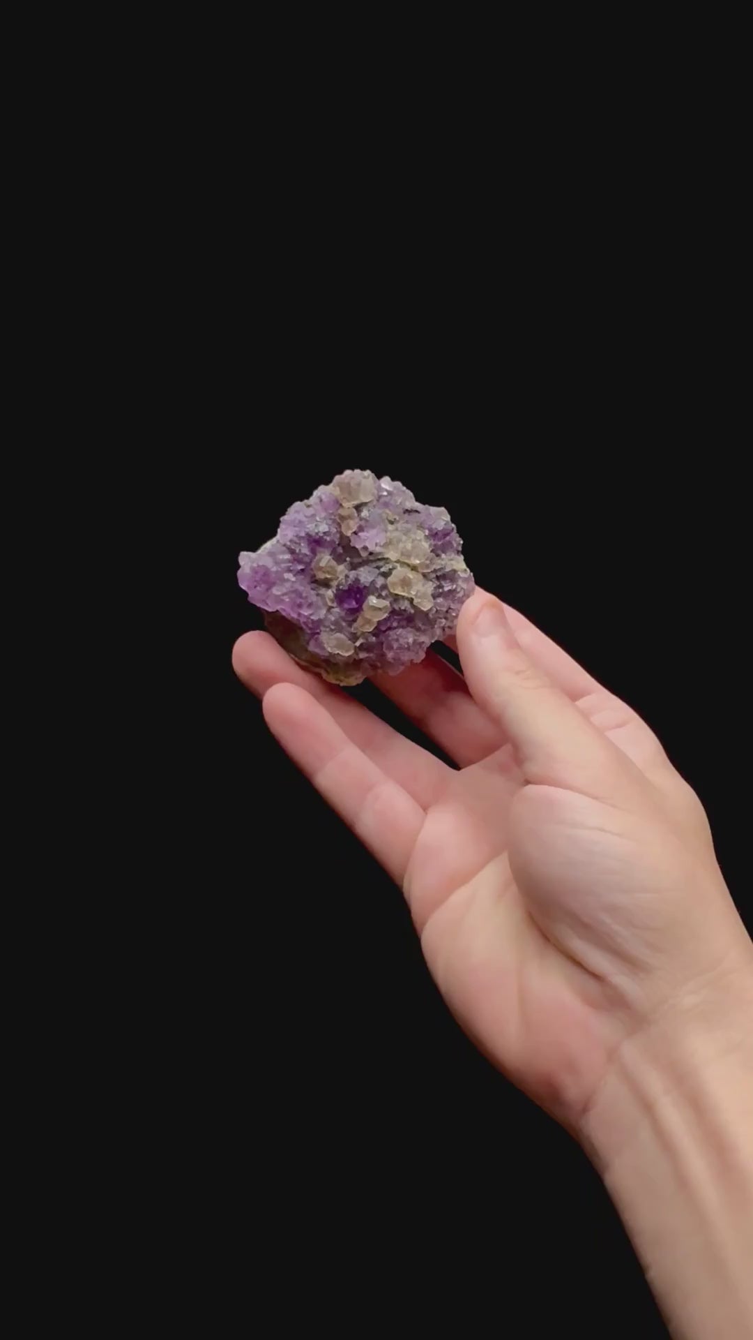 Specimen rotation video 0474