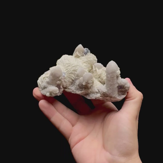 Specimen rotation video 0430
