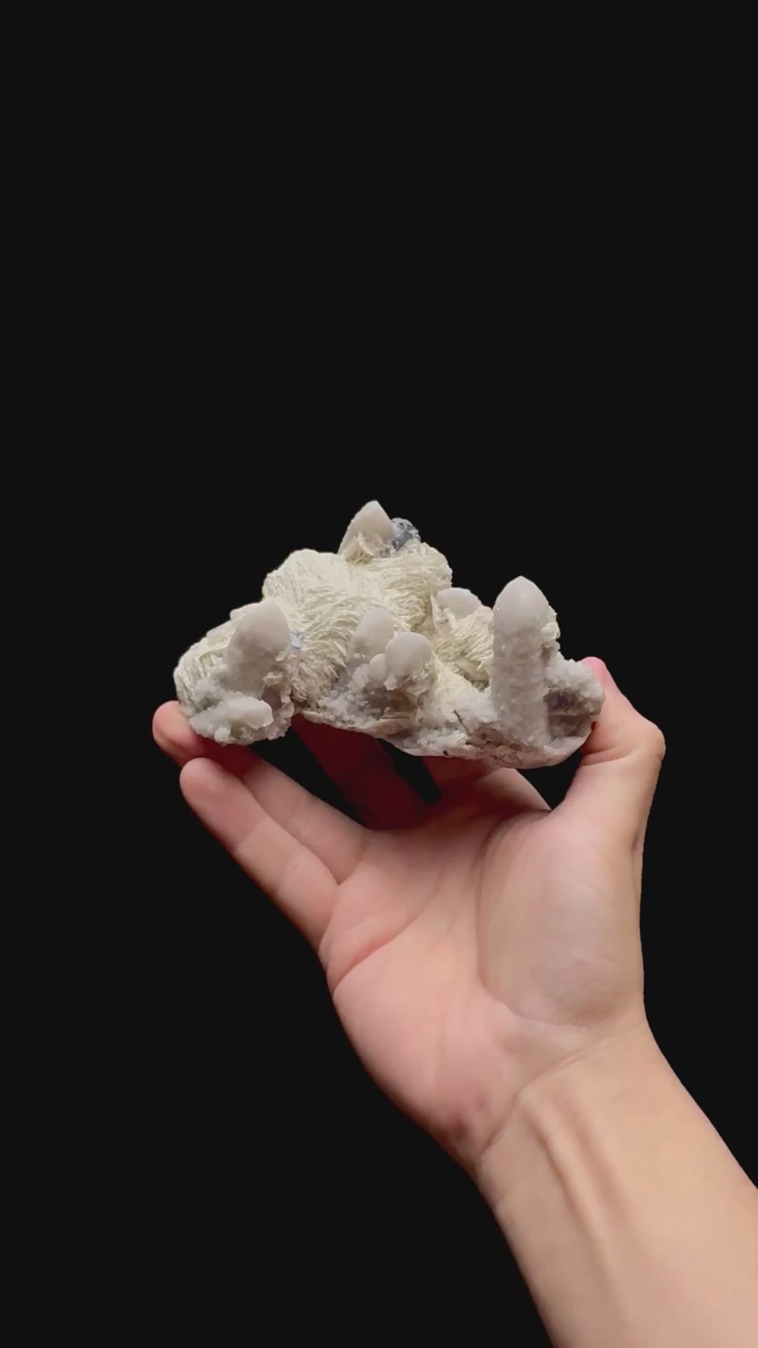 Specimen rotation video 0430