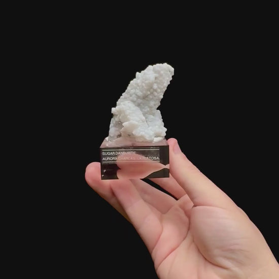 Specimen rotation video 0375