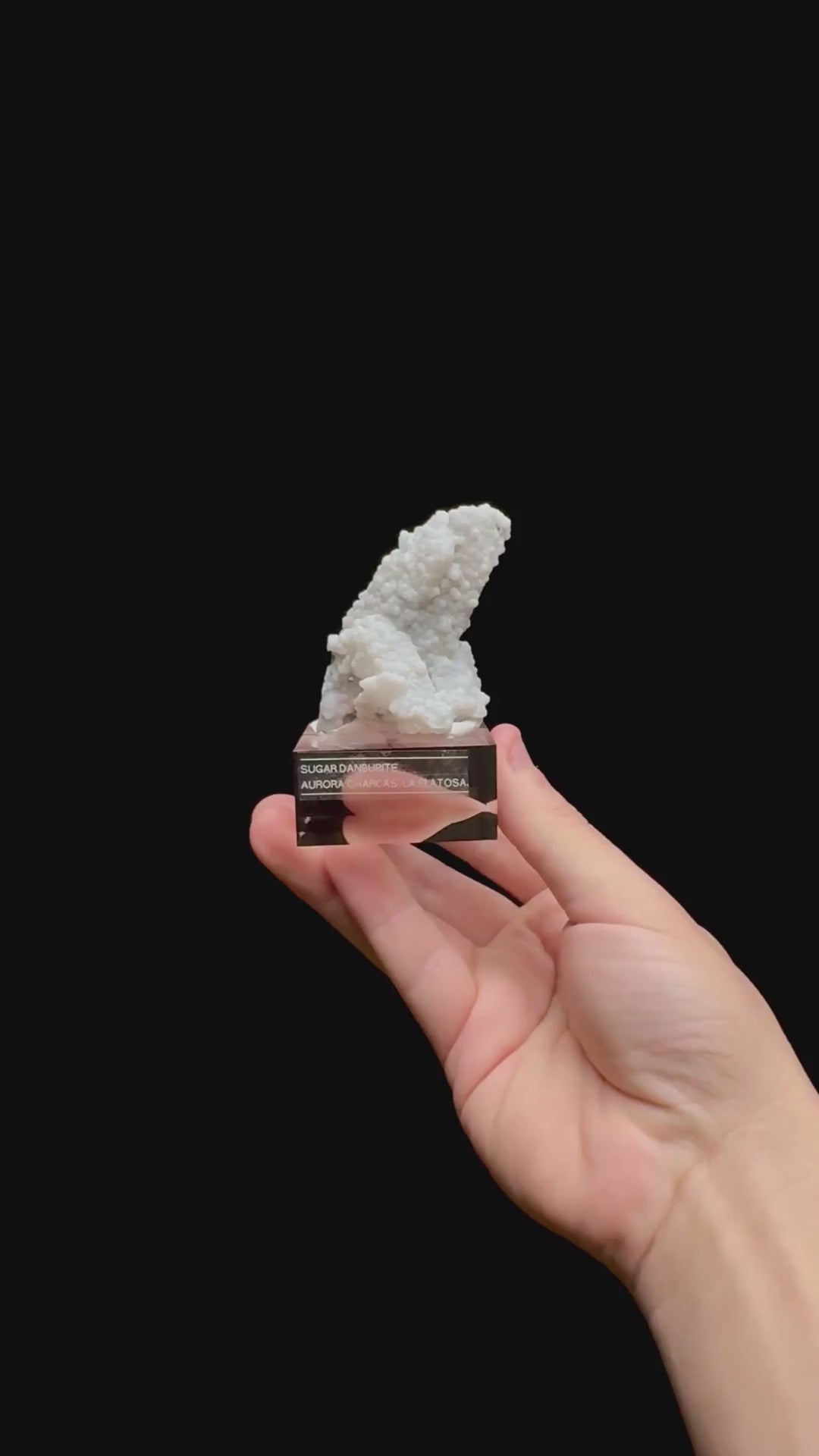 Specimen rotation video 0375