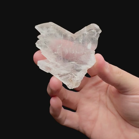 Specimen rotation video 116