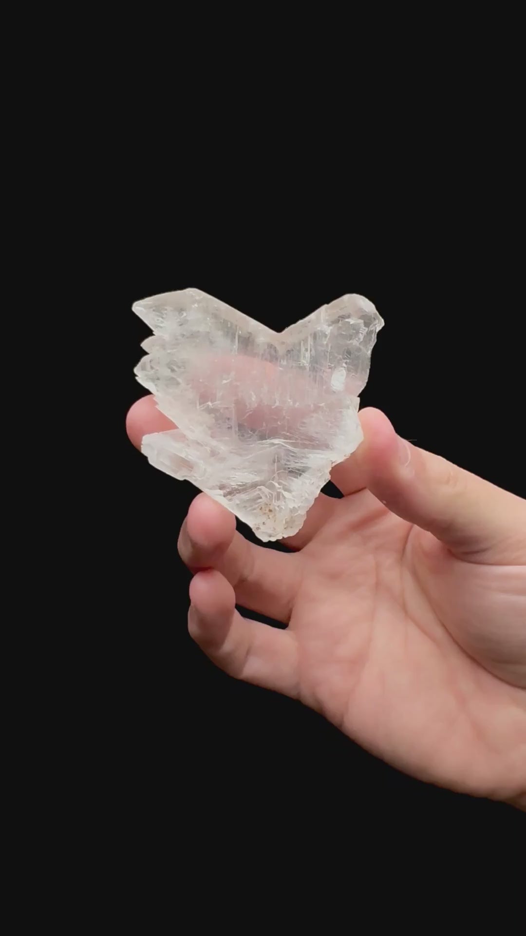 Specimen rotation video 116