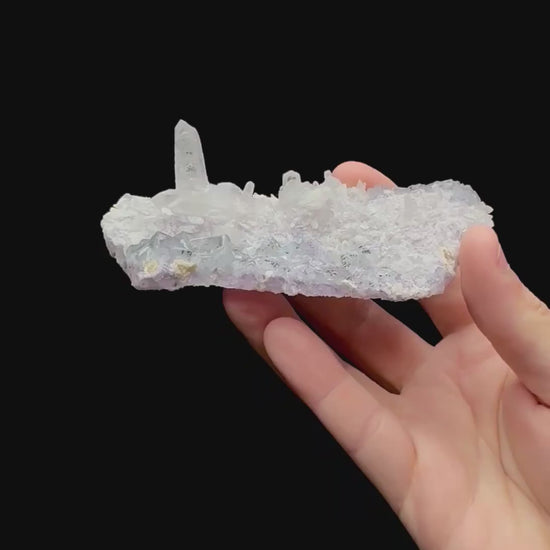 Specimen rotation video 201