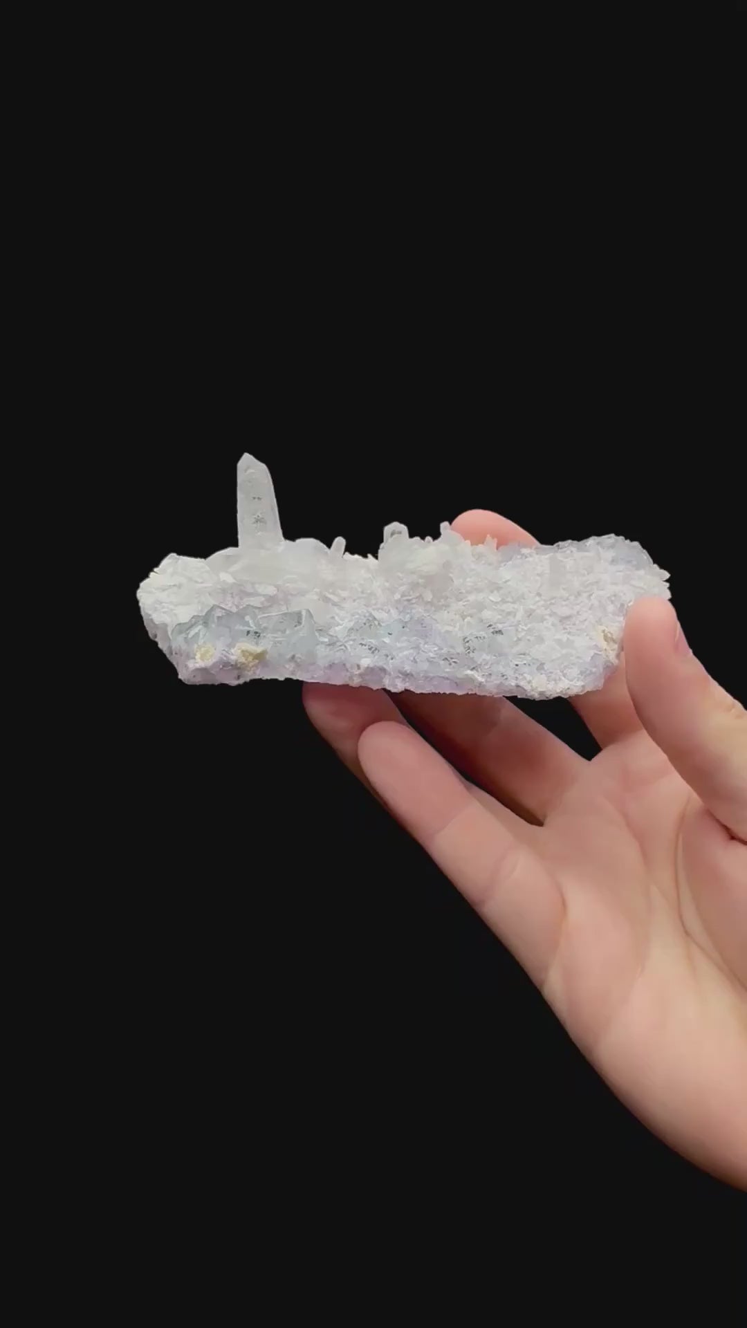 Specimen rotation video 201