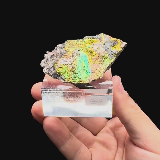 Specimen rotation video 566