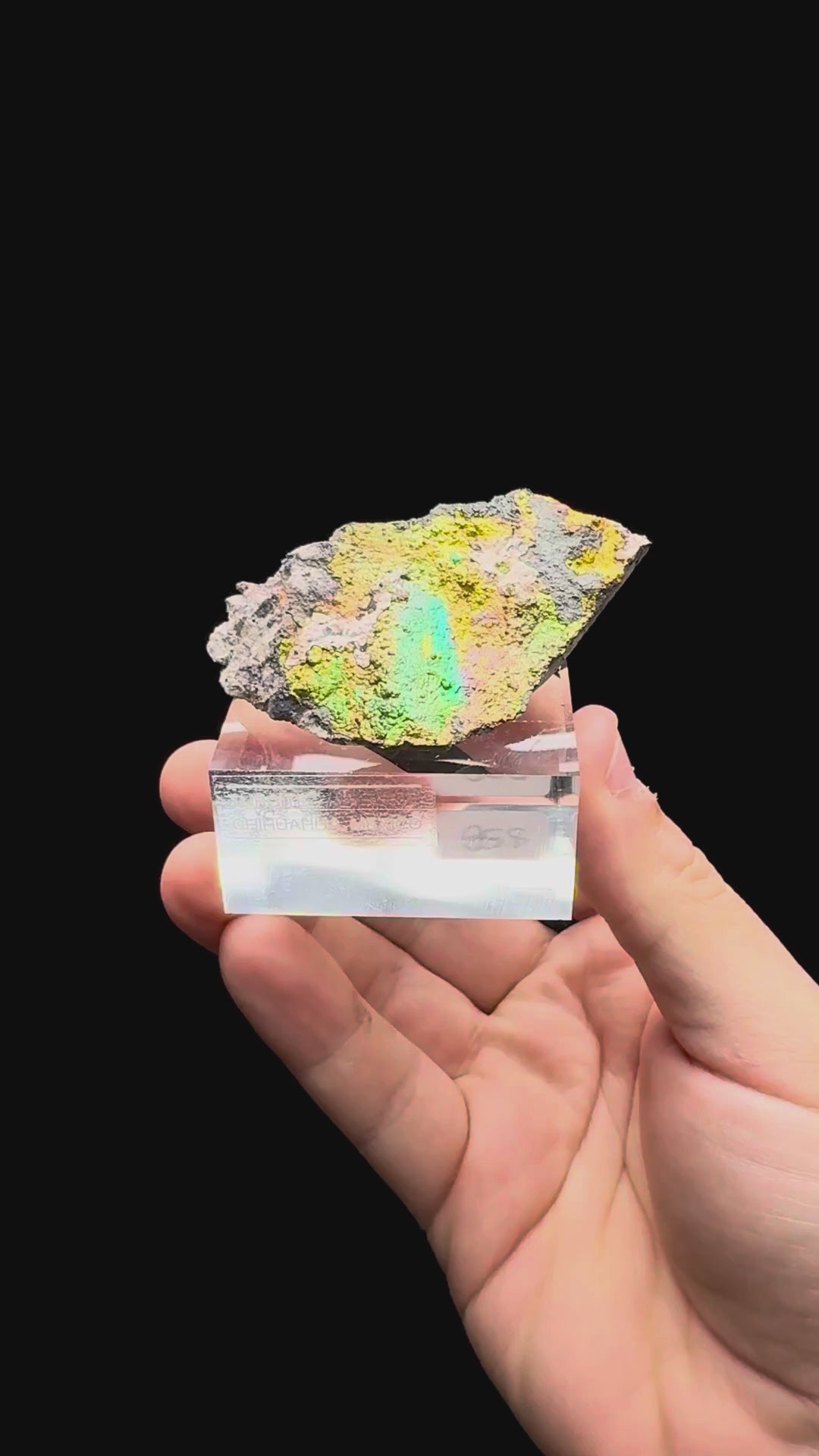 Specimen rotation video 566