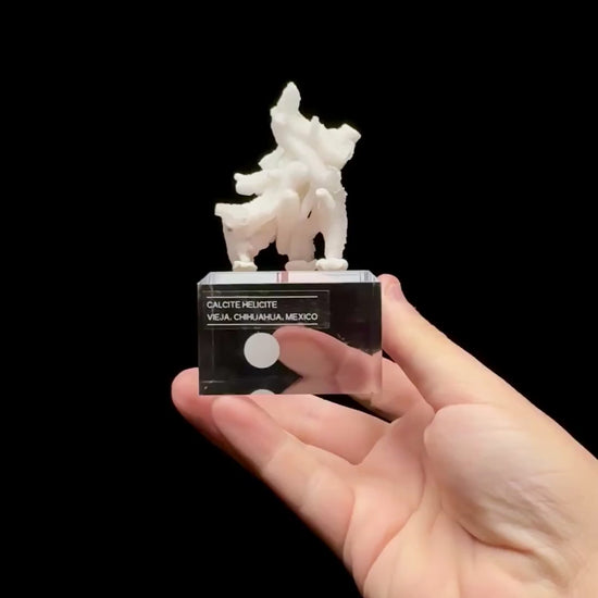 Specimen rotation video 0665