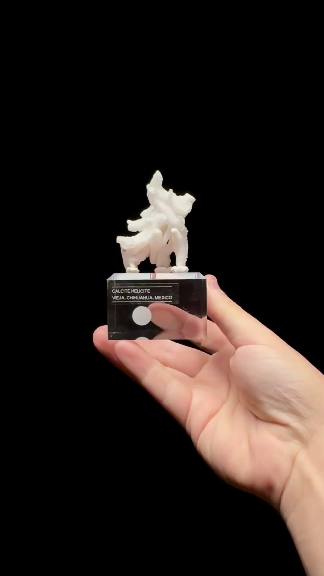 Specimen rotation video 0665